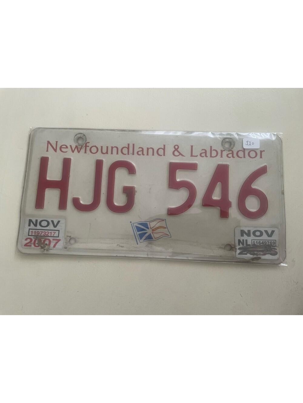 Newfoundland License Plate (Expired) Labrador Canada Picture Plant HJG 546 2007